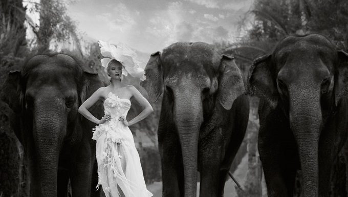 “Autumn For The Elephants” Project by Jvdas Berra Autumn For The Elephants by Jvdas Berra