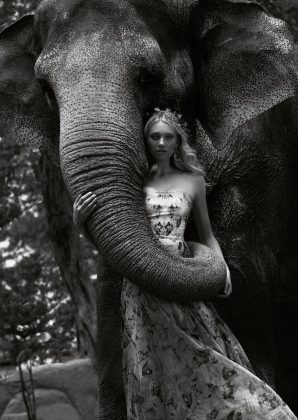 Autumn For The Elephants by Jvdas Berra