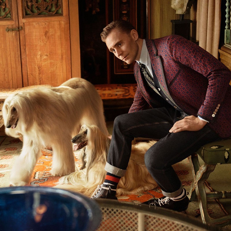 Tom Hiddleston is the new face of Gucci Cruise 2017 tailoring