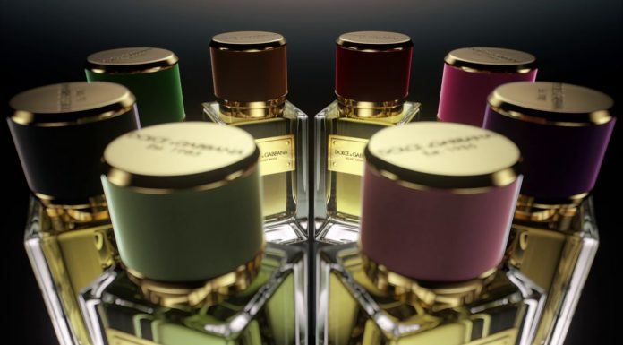 Dolce&Gabbana The Velvet Collection Dolce&Gabbana The Velvet Collection