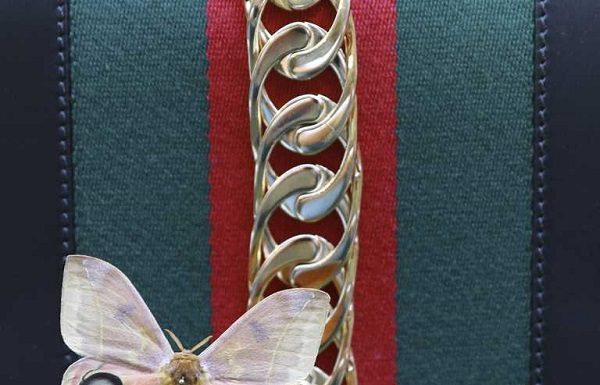 Il Collezionista di insetti da Gucci Il Collezionista di insetti da Gucci