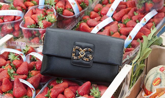 Piccola ma con carattere: la borsa DG Millennials Piccola ma con carattere la borsa DG Millennials