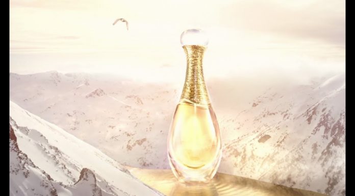 Dior Holiday – The Gold Quest Dior Holiday - The Gold Quest