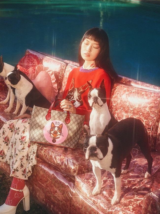 Gucci celebra l'anno cinese del cane