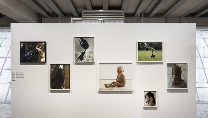 Fondazione Prada Osservatorio: “Torbjørn Rødland: The Touch That Made You” “Torbjørn Rødland The Touch That Made You” – photo by Andrea Rossetti