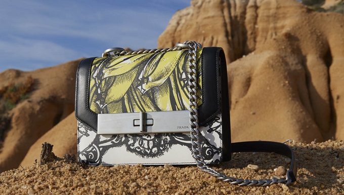 Prada Summer Illusions Prada Summer Illusions