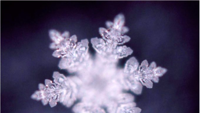 Beatrice Burati Anderson: WATER / MATER John Lennon e Yoko Ono, Maurice Nio Beatrice Burati Anderson Art Space & Gallery di Venezia inaugura la mostra WATER MATER, con opere di John Lennon e Yoko Ono e dell'architetto, designer e artista olandese Maurice Nio.