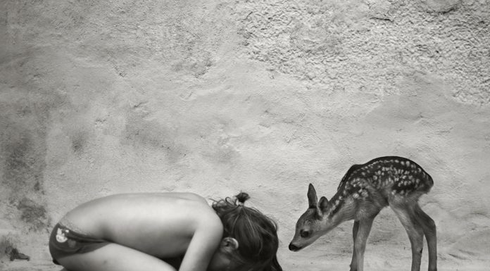 Alain Laboile − Le temps retrouvé | 29 Arts In Progress gallery Alain Laboile − Le temps retrouvé | 29 Arts In Progress gallery