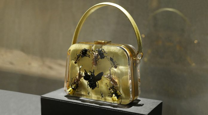 “Animalia Fashion”, Prada in mostra a Palazzo Pitti “Animalia Fashion”, Prada in mostra a Palazzo Pitti