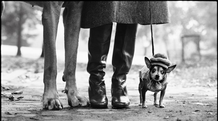 Elliott Erwitt. Family. Le foto di Elliott Erwitt in mostra al Mudec Milano Elliott Erwitt. Family. Le foto di Elliott Erwitt in mostra al Mudec Milano