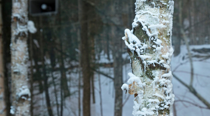 Woolrich celebra il 190esimo Anniversario con un’istallazione speciale Woolrich celebra il 190esimo Anniversario con un'istallazione speciale