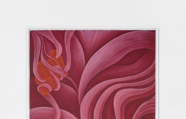 PROJECT ROOM #12 Rebecca Ackroyd Underfoot PROJECT ROOM #12 Rebecca Ackroyd Underfoot