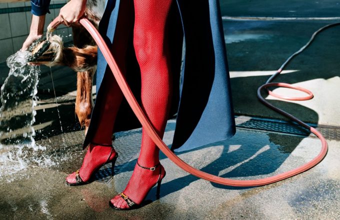 See horses roam LA for the Gucci SS20 campaign