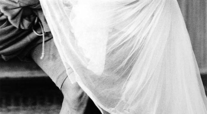 29 Arts In Progress gallery presenta Back To Dance 29 ARTS IN PROGRESS gallery presenta BACK TO DANCE