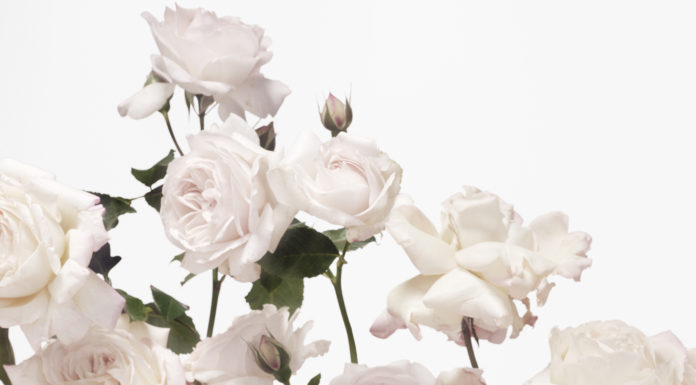 Burberry Mother’s Day 2020 Burberry Mother's Day 2020