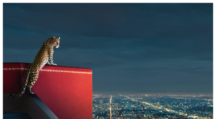 Cartier Confidential: Il futuro ricomincia oggi Cartier Confidential: Elisabetta II - Tiare, spille e gufi di diamanti