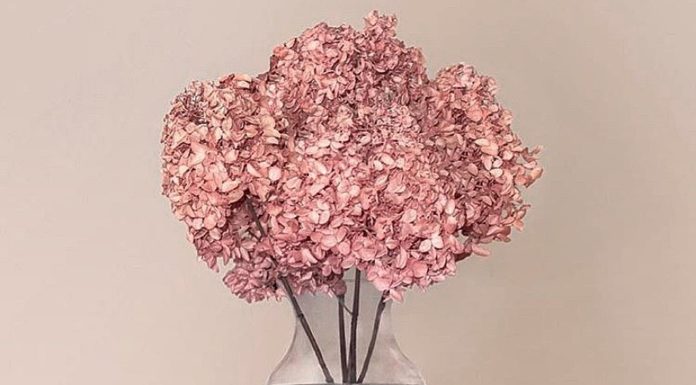Flower Design con #Tifacciounmazzo Sostenibilità e stagionalità per rilanciare la filiera del fiore torna in voga il flower design con #Tifacciounmazzo