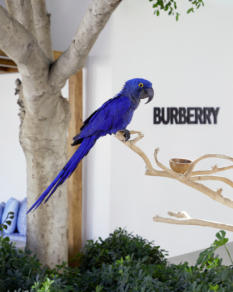 Burberry riapre il pop-up store a Nammos Village, Mykonos