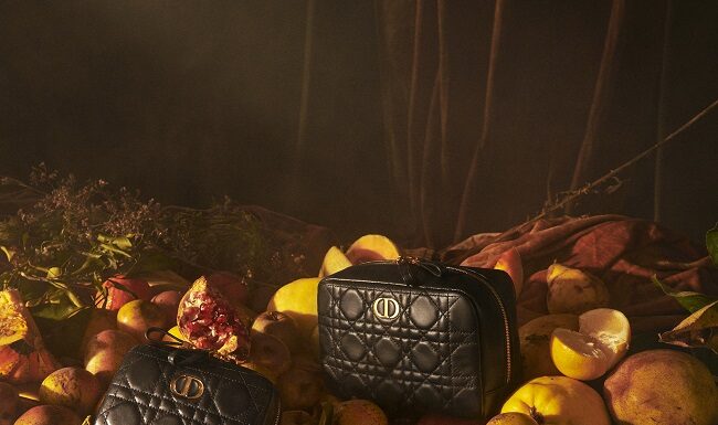 DiorCaro Line Small Leather Accessories DiorCaro Line Small Leather Accessories
