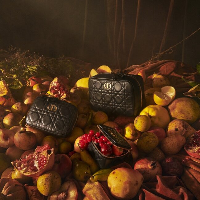 Dior Caro Line Small Leather Accessories
