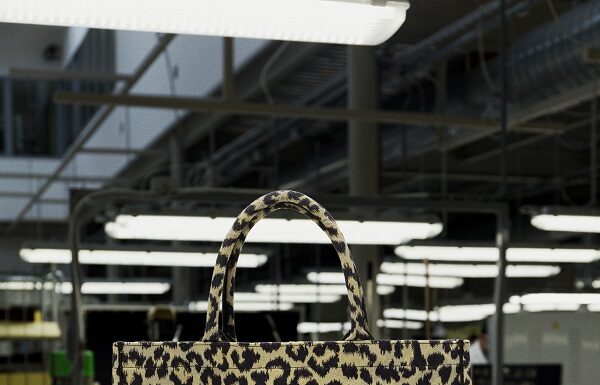 Dior presents the Savoir-Faire of the Leopard-print Dior Book Tote Bag Dior presents the Savoir-Faire of the Leopard-print Dior Book Tote Bag