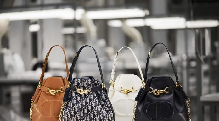 Savoir-faire C’est Dior bag Savoir-faire C’est Dior bag