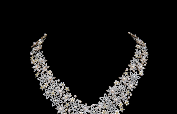 Dior presents the Dior Milly Dentelle Collection Dior presents the Dior Milly Dentelle Collection