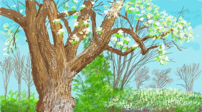 David Hockney alla Fondation Louis Vuitton a Parigi La Fondation Louis Vuitton presenta la nuova mostra “Do remember they can’t cancel the Spring” di David Hockney