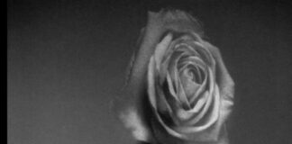 Dior by Yuriko Takagi DIOR BY YURIKO TAKAGI © YURIKO TAGAKI