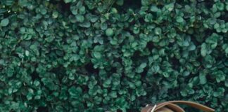 LV Touch il lusso quotidiano by Pharrell Williams