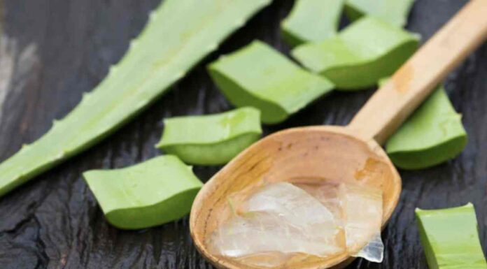 La maschera all’aloe fatta in casa che sta mandando il web in tilt: avrai la pelle luminosissima