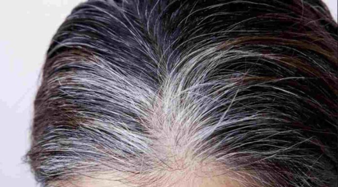 Non usare la tinta: questo mix naturale copre i bianchi e lascia i capelli più sani In questo contesto, torna in auge un rimedio naturale a base di rosmarino e salvia, erbe dalle proprietà note fin dall’antichità