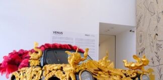 Fondazione Valentino Garavani e Giancarlo Giammetti Honored at the 2025 Differenza Donna Awards Fondazione Valentino Garavani e Giancarlo Giammetti Honored at the 2025 Differenza Donna Awards