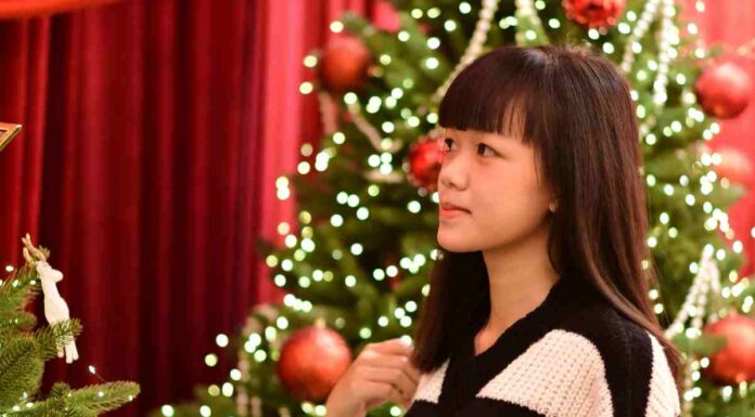 Stanca del solito albero di Natale? Sorprendi la famiglia con queste 5 idee decorative Stanca solito albero di Natale