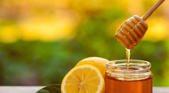 Ho usato il miele così per 3 mesi e non ho più una ruga: altro che creme costose Ho usato il miele così per tre 3 mesi e non ho più una ruga