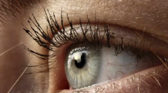 Ciglia lunghe e folte senza extension e senza colla: sguardo da gatta con zero stress Tra le tendenze più apprezzate per valorizzare lo sguardo senza complicazioni, le ciglia magnetiche rappresentano ormai un must-have