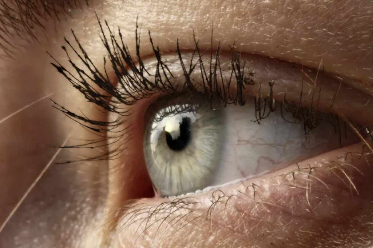 Tra le tendenze più apprezzate per valorizzare lo sguardo senza complicazioni, le ciglia magnetiche rappresentano ormai un must-have