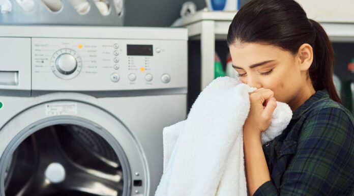 Vuoi profumare di biancheria stesa al sole? Sono questi i prodotti che devi cercare Come profumare di bucato