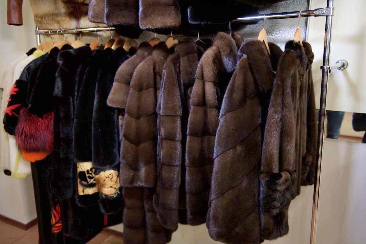 colori pellicce come abbinarla