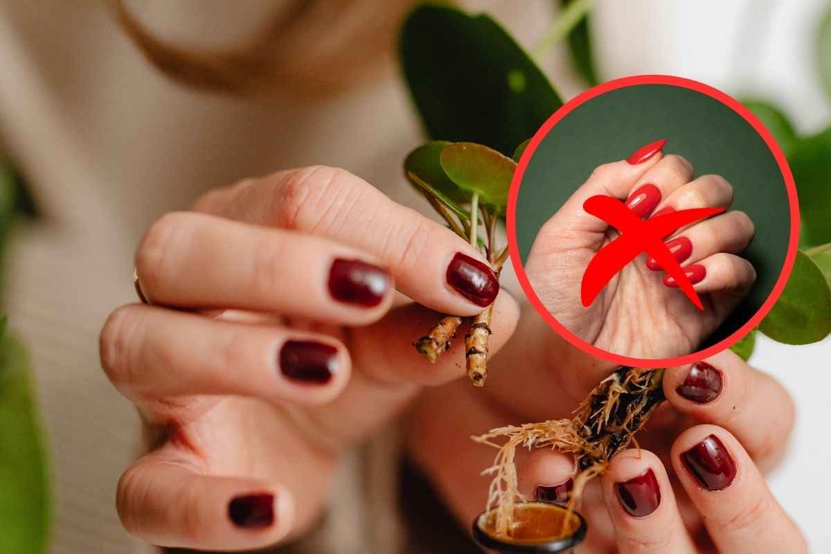 Smalto rosso addio: il trend primavera-estate 2026 è all’insegna della semplicità. Cosa vedremo (ovunque) addio smalto rosso: le nuove tendenze nails 2026