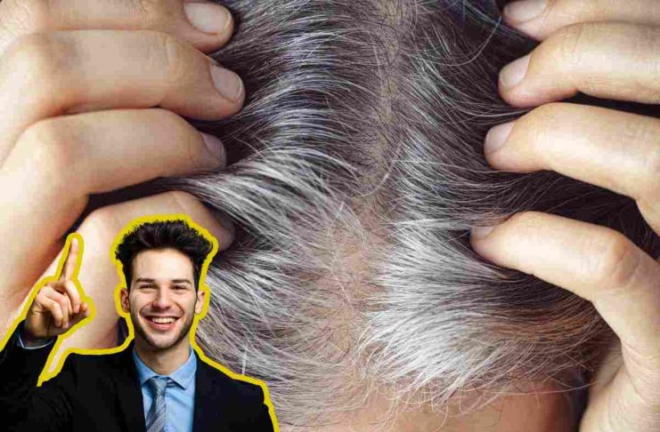 È questo l’unico modo per coprire i capelli bianchi: cos’è il “blending” e perché lo usano tutti i Vip blending. metodo per coprire bene i capelli bianchi