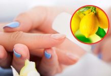 Perché tutti mettono il limone sulle unghie, cosa accade dopo pochi minuti: prova subito i benefici del limone sulle unghie
