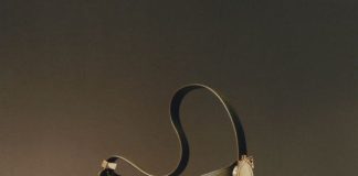 The new Dior Medallion Bags The new Dior Medallion Bags