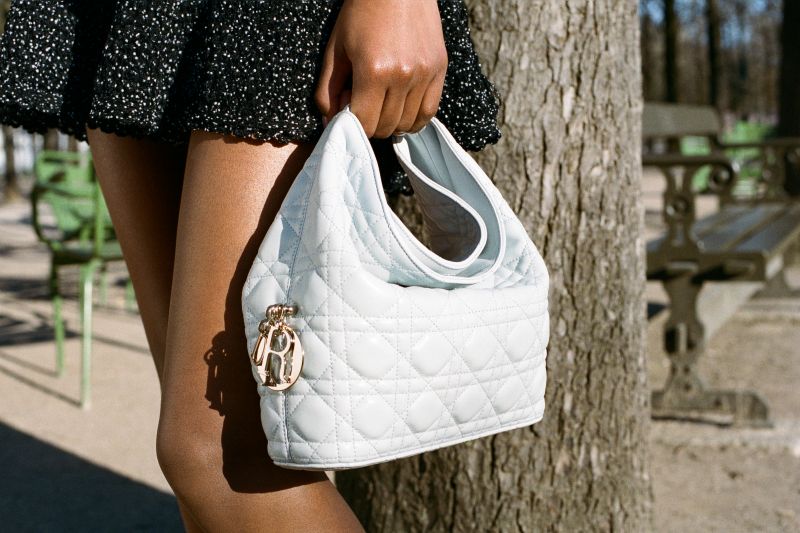 Dior Toujours Hobo