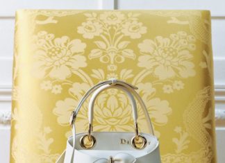 The Mini Dior Cigale The Mini Dior Cigale
