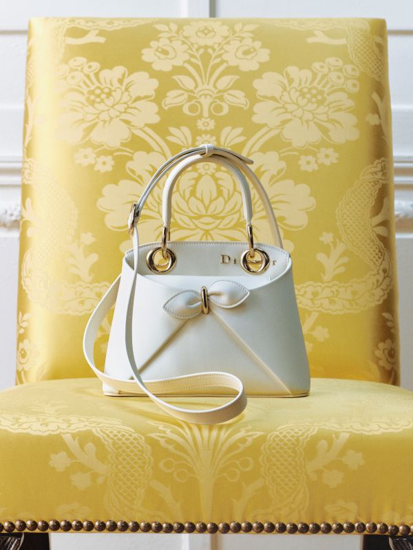 The Mini Dior Cigale
